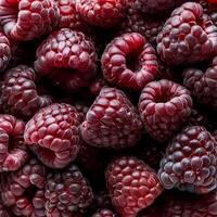 Close-up of ripe raspberries pattern texture background. photo