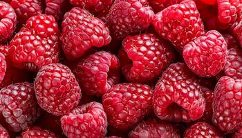 Close-up of ripe raspberries pattern texture background. photo