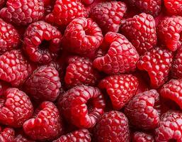 Close-up of ripe raspberries pattern texture background. photo