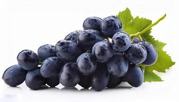 Fresh Black Grapes Isolated on White Background photo