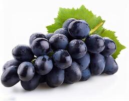 Fresh Black Grapes Isolated on White Background photo