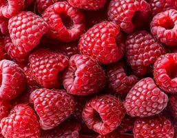 Close-up of ripe raspberries pattern texture background. photo