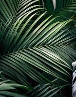 Nature view of green leaf and palms photo
