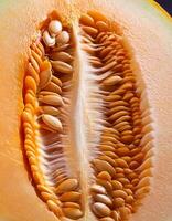 A close-up photo of a ripe melon. Pattern texture background