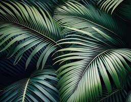 Nature view of green leaf and palms photo