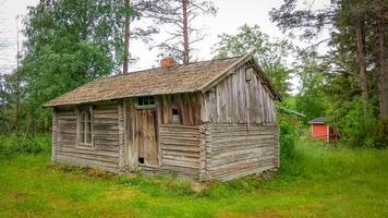 Ancient wooden hut surrounded by greenery in Finland photo