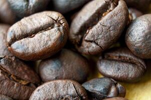 Micro photography of close up coffee bean photo