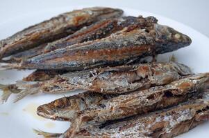 Deep fried sardines fish on white place. Asian food concept photo