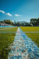 Soccer Field Showing Blue Line photo