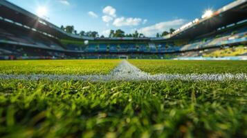 Close Up of Soccer Field White Line photo