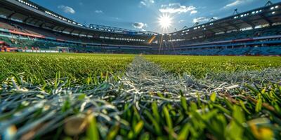 Soccer Field With Goal Line in the Sun photo