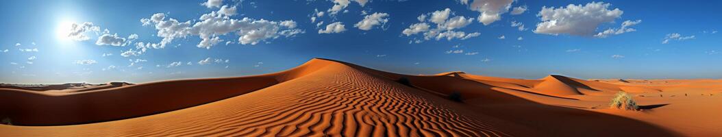 Panoramic View of the Sahara Desert photo