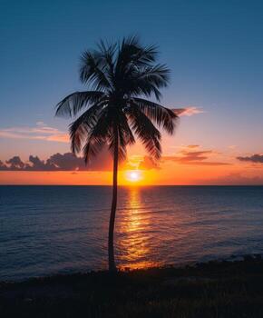 palma árbol silueta a puesta de sol terminado Oceano foto