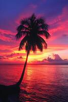 Palm Tree Silhouetted Against Colorful Sunset photo