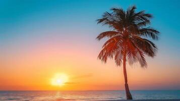 Silhouette Palm Tree on Beach at Sunset photo