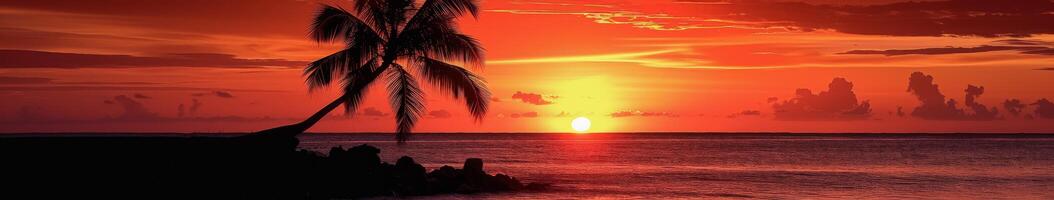 Silhouette Palm Tree Against Sunset Sky photo