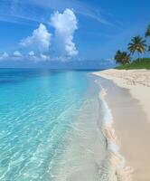 Sandy Beach With Clear Blue Water and Palm Trees photo