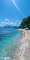 Tropical Beach With Blue Water and Trees photo