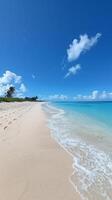 Sandy Beach With Clear Blue Water and Palm Trees photo