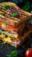 Toasted Sandwich With Ham, Cheese, and Tomatoes photo