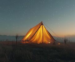 Tent Standing in Field Under Night Sky photo