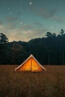 Tent in Field With Trees photo