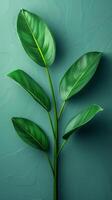 Green Plant With Leaves on Blue Background photo