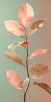 Pink-leaved Plant in a Vase photo
