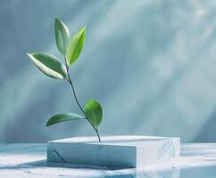 Plant Sprouting From Concrete Block photo