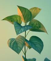Close-Up of a Plant With Green Leaves photo
