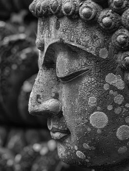 Close up of buddha statue photo