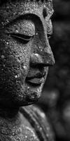 Black and white photo of a buddha statue