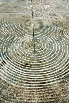 Large circular design in middle of field photo