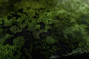 Close up of green substance on surface photo