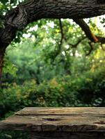 Wooden table in front of lush green forest photo