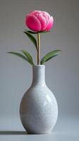 White vase with pink flower photo