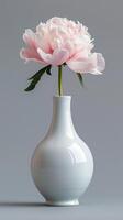 White vase with pink flower photo