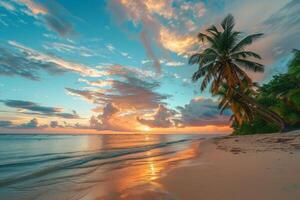 Beach With Palm Trees and Setting Sun photo