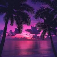 Palm trees silhouetted against purple and pink sunset photo
