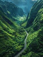 A road winding through a lush green valley photo
