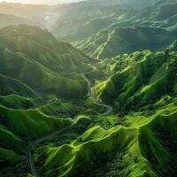 Aerial view of lush green valley photo