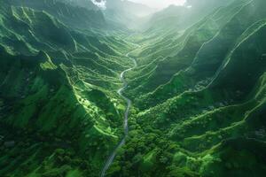 Aerial view of lush green valley photo