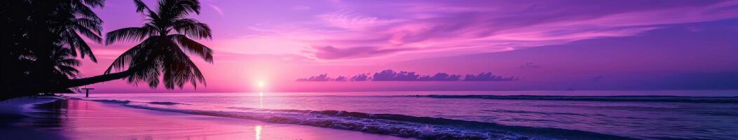 Purple Sunset on Tropical Beach With Palm Trees photo