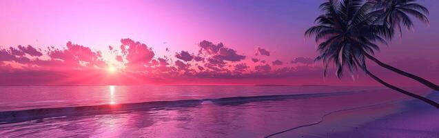 Palm Tree on Beach by Ocean photo