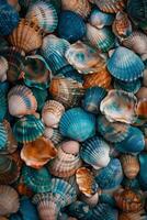 Assorted Multicolored Seashells Collection photo
