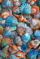 Assorted Seashells in Various Colors photo