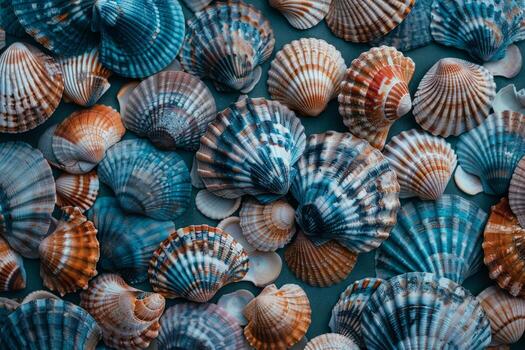 Assorted Seashells Arranged on a Table photo