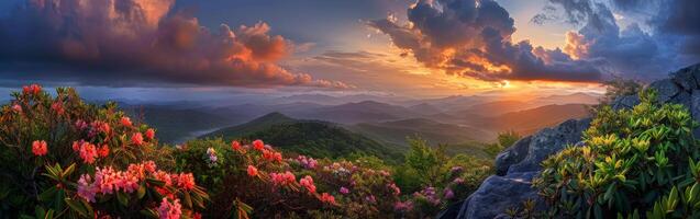 Sunset Painting in the Mountains photo