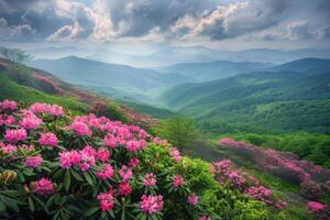 Majestic Mountains and Wildflowers in Foreground photo