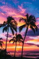Palm Trees Silhouetted Against Colorful Sunset photo